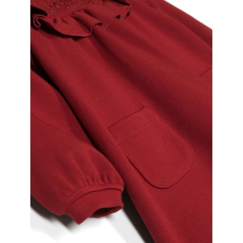 Ruffle Collar Long Sleeve Dress